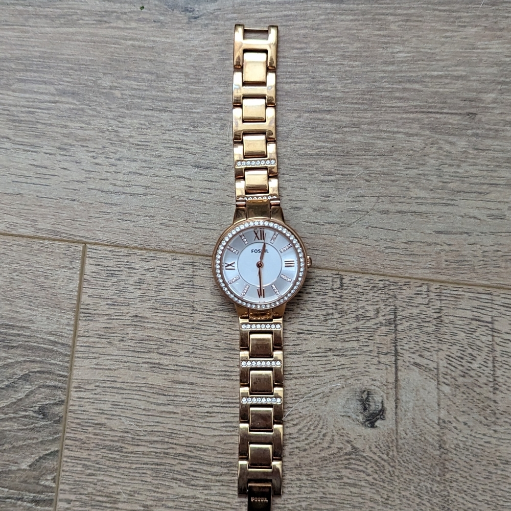 Fossil Watch
